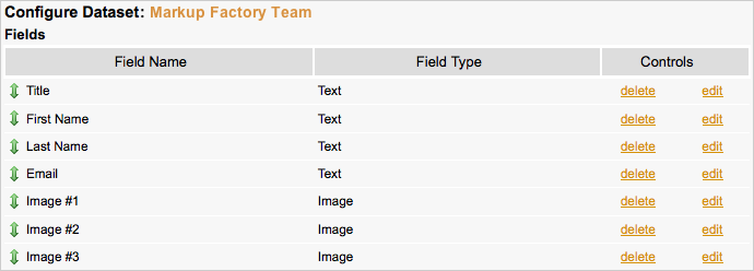 Dataset Example